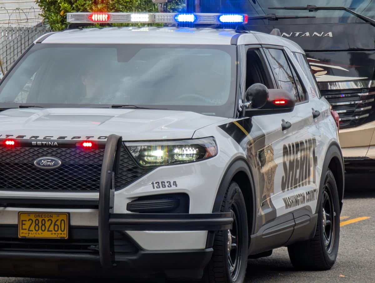 Banks November 2025 Police Log