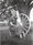 Column | The Diaries of Esther Lilly Hundley: January 1930