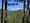 Oregon Department of Forestry seeks public input in Northwest Oregon State Forests Management, Habitat Conservation Plan