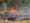 Gov. Brown declares May 'wildfire awareness month'