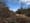 Community members weigh in on Salmonberry Trail