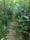 Salmonberry Trail Intergovernmental Agency meeting March 15