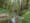 Mendenhall Creek culvert replacement in Buxton postponed to 2022