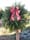 Don't chop down a Christmas tree in a state forest
