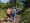 Salmonberry Trail Intergovernmental Agency May 16 meeting is now in Banks