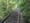 Salmonberry Trail Foundation seeks new treasurer, sees leadership change