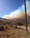 COLUMN | The Relief of Defensible Space