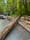 Log truck spills logs on Timber Road