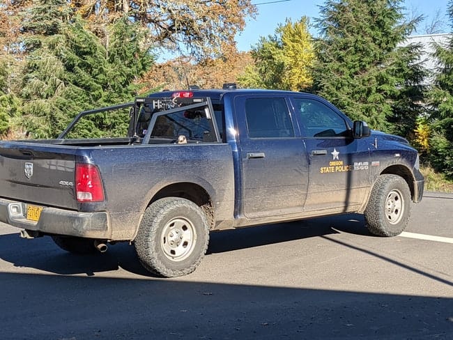 OSP seeks public assistance in two Columbia County elk poaching cases
