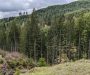 Oregon Appeals Court reverses $1.1 billion verdict over state forest management